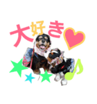 ラスアロ日記U^ェ^U with マロン♪（個別スタンプ：11）