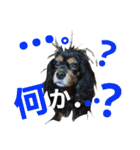 ラスアロ日記U^ェ^U with マロン♪（個別スタンプ：15）