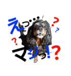 ラスアロ日記U^ェ^U with マロン♪（個別スタンプ：21）