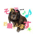 ラスアロ日記U^ェ^U with マロン♪（個別スタンプ：23）