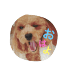 うめ吉スタンプ（個別スタンプ：7）