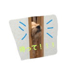 うめ吉スタンプ（個別スタンプ：12）