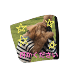 うめ吉スタンプ（個別スタンプ：14）