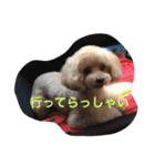 うめ吉スタンプ（個別スタンプ：15）