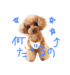 コキクとオキク（個別スタンプ：7）