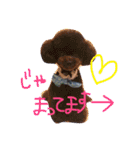 コキクとオキク（個別スタンプ：21）