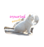 NBright（個別スタンプ：8）