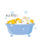 「うさぎ」だに。（個別スタンプ：25）