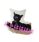 黒猫クラブ（個別スタンプ：1）