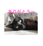 黒猫クラブ（個別スタンプ：5）