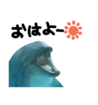 水族館のにんきもの 1（個別スタンプ：1）