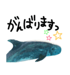 水族館のにんきもの 1（個別スタンプ：11）