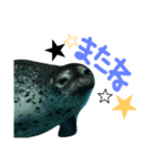 水族館のにんきもの 1（個別スタンプ：16）