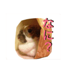 うさぎのモカ蔵（個別スタンプ：2）