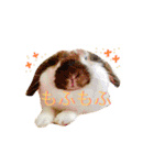 うさぎのモカ蔵（個別スタンプ：8）