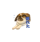 うさぎのモカ蔵（個別スタンプ：9）
