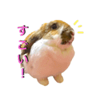 うさぎのモカ蔵（個別スタンプ：12）