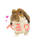 うさぎのモカ蔵（個別スタンプ：14）