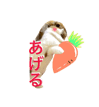 うさぎのモカ蔵（個別スタンプ：16）