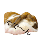うさぎのモカ蔵（個別スタンプ：20）