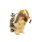 うさぎのモカ蔵（個別スタンプ：24）