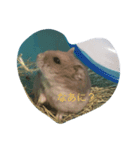 すずまるだよ（個別スタンプ：3）