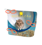 すずまるだよ（個別スタンプ：4）