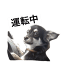 ちょことあずさ（個別スタンプ：2）