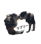 ちょことあずさ（個別スタンプ：15）