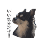 ちょことあずさ（個別スタンプ：19）