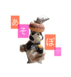我が家の可愛い子ちゃん（個別スタンプ：5）