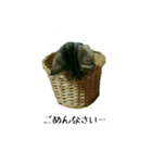 Happy combi stamp of SACHI and FUKU（個別スタンプ：2）