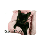Happy combi stamp of SACHI and FUKU（個別スタンプ：5）
