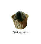 Happy combi stamp of SACHI and FUKU（個別スタンプ：7）