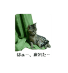 Happy combi stamp of SACHI and FUKU（個別スタンプ：8）