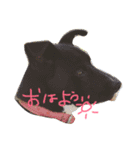ロイくんとさんまさん（個別スタンプ：1）