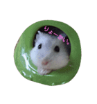 ゆるーい。ハムハム。（個別スタンプ：1）