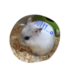 ゆるーい。ハムハム。（個別スタンプ：2）