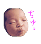 ume5（個別スタンプ：15）
