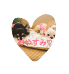 くりへい（個別スタンプ：5）