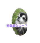 くりへい（個別スタンプ：7）