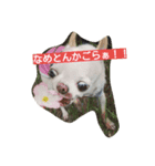 くりへい（個別スタンプ：8）