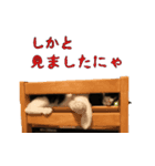 クゥとふく 7（個別スタンプ：14）