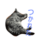 サバトラねこのひなちゃん（個別スタンプ：3）