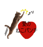 たけちよのネコのひなちゃん（個別スタンプ：7）