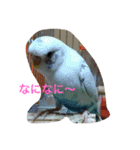 LOVE416（個別スタンプ：2）