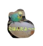 LOVE416（個別スタンプ：3）