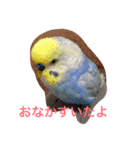 LOVE416（個別スタンプ：4）
