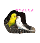 LOVE416（個別スタンプ：5）