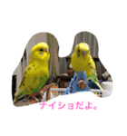 LOVE416（個別スタンプ：8）